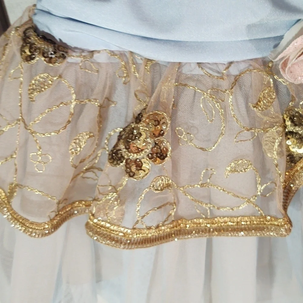 Weissman Lead The Way Sequin Embroidered Dance Dress tutu ballet 13466 Sz IC